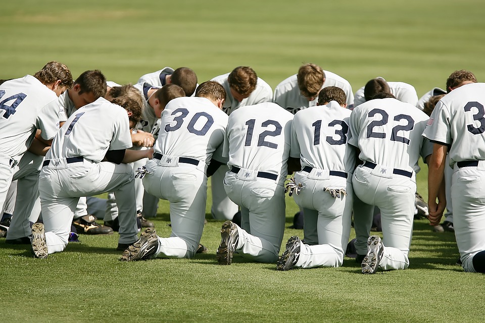 baseball pariuri 2019