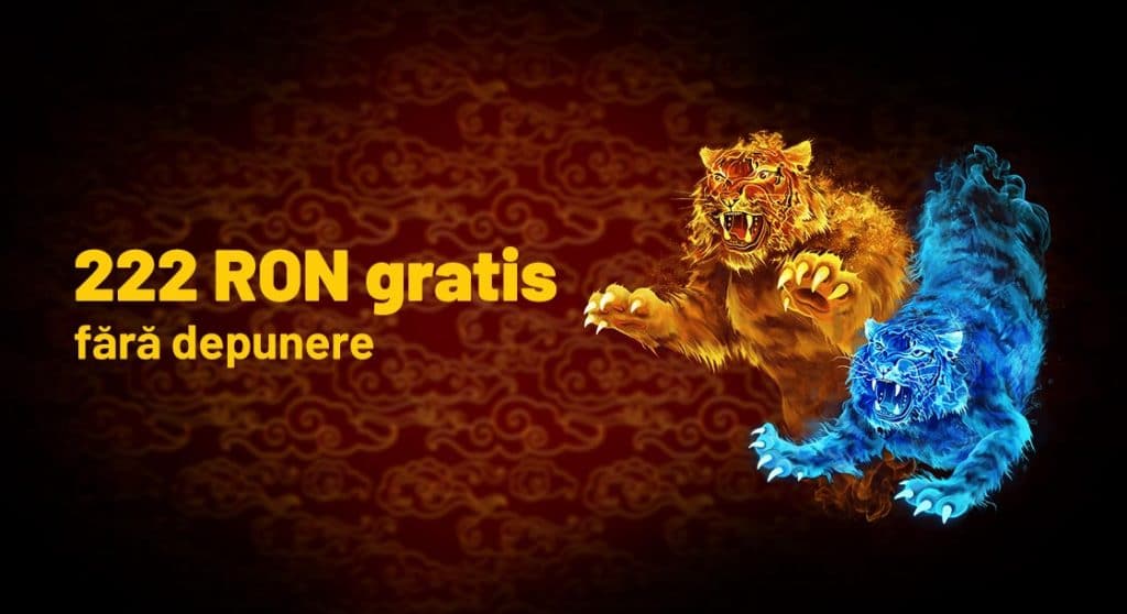 222 ron la verificare maxbet