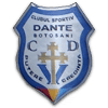 Dante Botosani