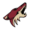 arizona coyotes