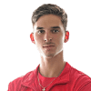 dino prizmic
