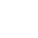 winner alb